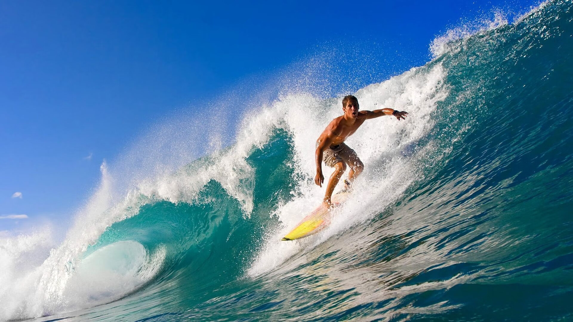 乐鱼体育平台官网-大学生体育社团赛事活跃，校园体育文化兴盛，大学体育社团活动